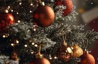 После новогодняя всиреча