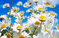 Встреча с добром.23