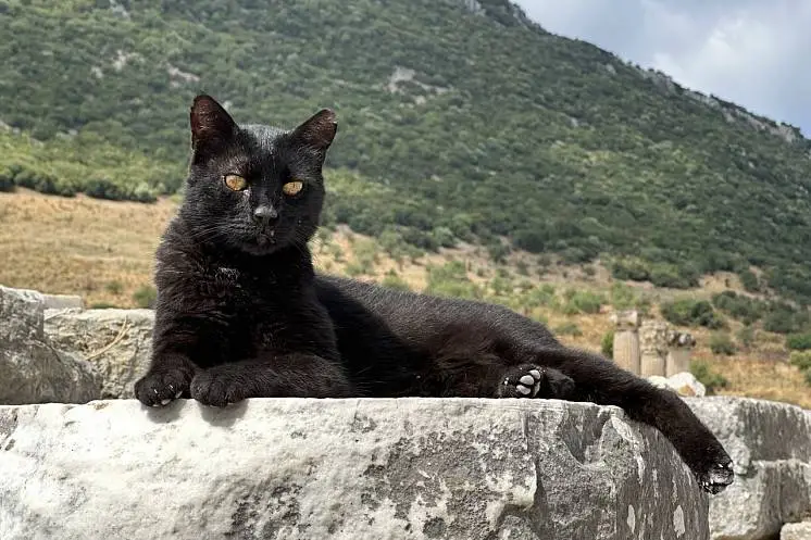 Громова Мария