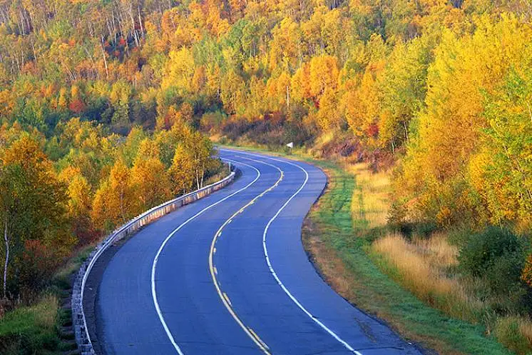 Лузянина Елена