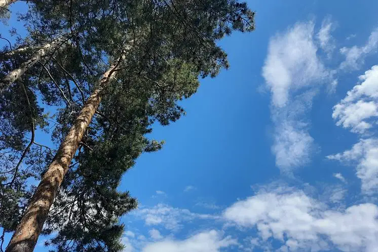 Шиляева Наталья