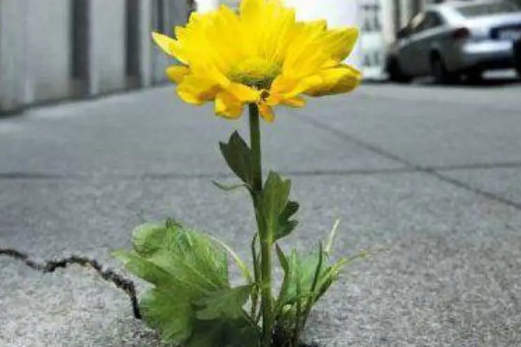 Идашина Татьяна