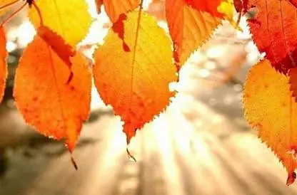 Осенняя пора- очей очарованье