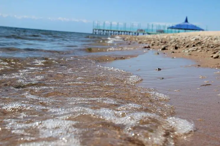 Лузянина Елена