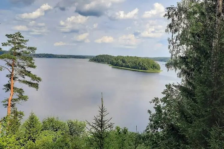 Светлана Салангина