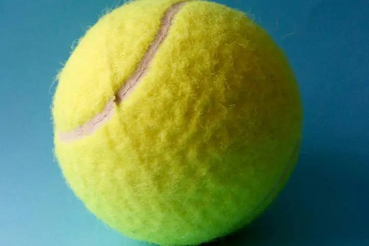 Пустобаева Екатерина