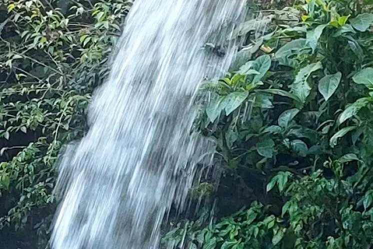 Хромова Татьяна