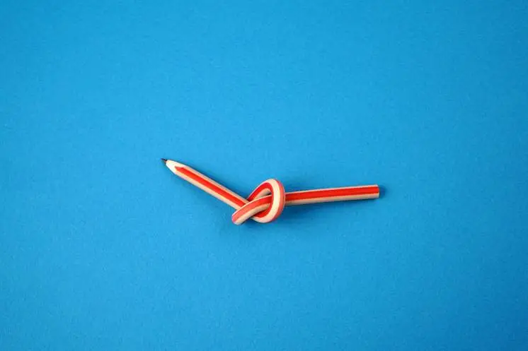 Науменкова Елена