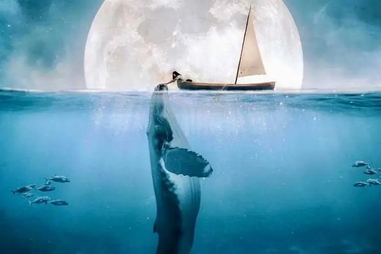 Жарова Анна