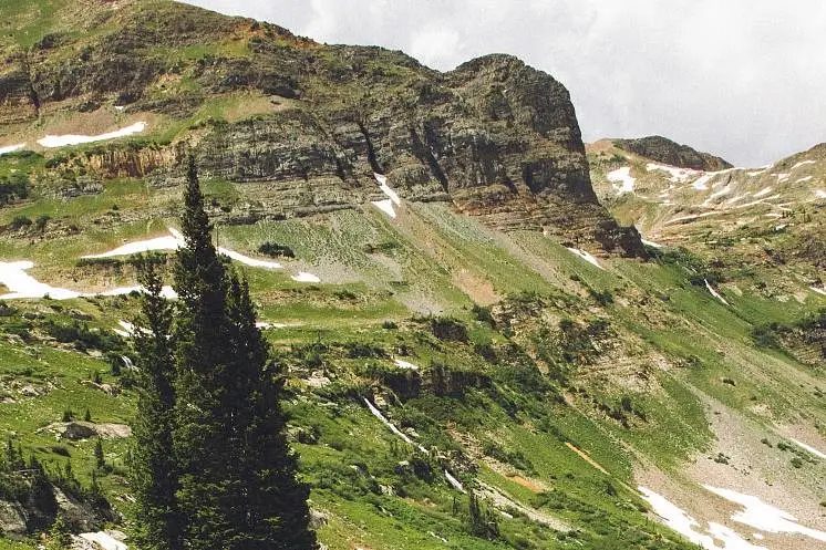Красулина Татьяна