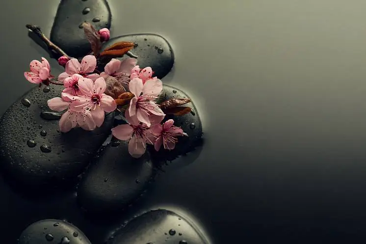 Едильбаева Юлия