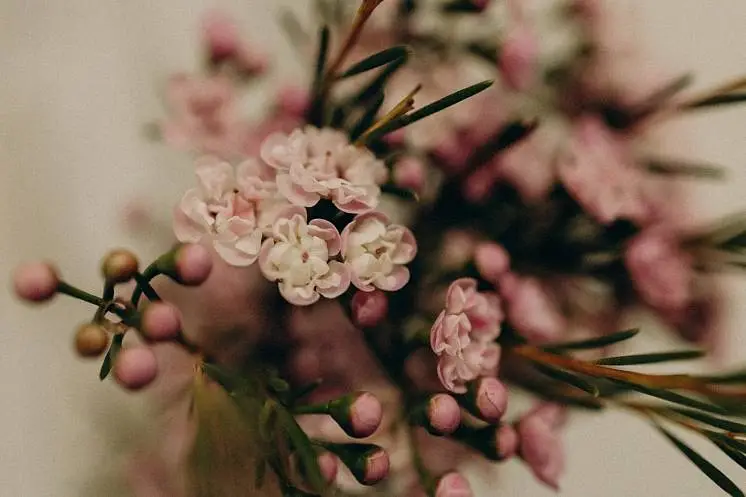 Куспекова  Светлана 