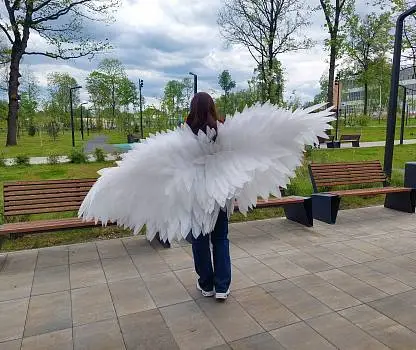 Встреча №11