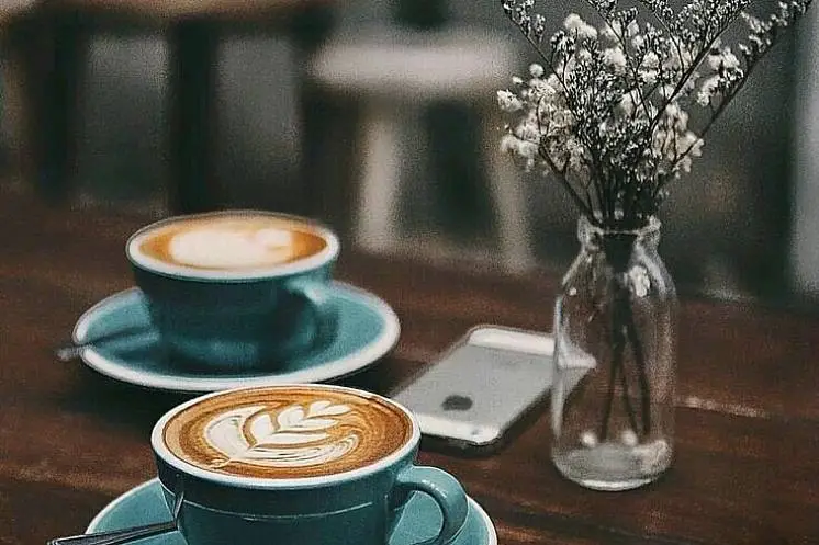 Добровольская Яна