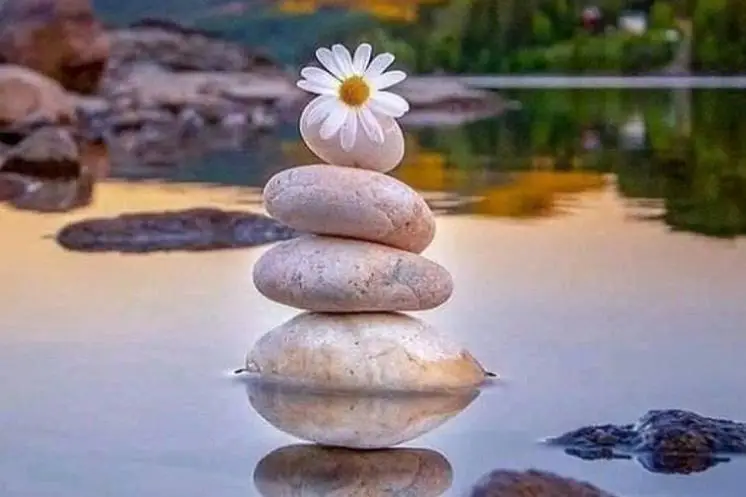 Гнидан  Татьяна 