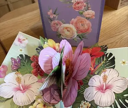 Встреча №12