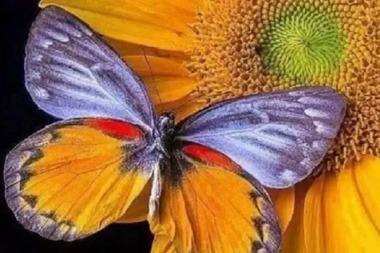 Соболь Людмила