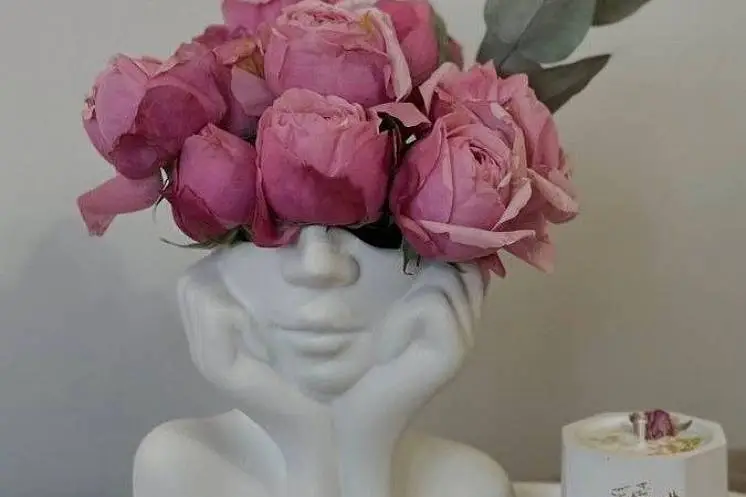 Суслова  Анастасия 