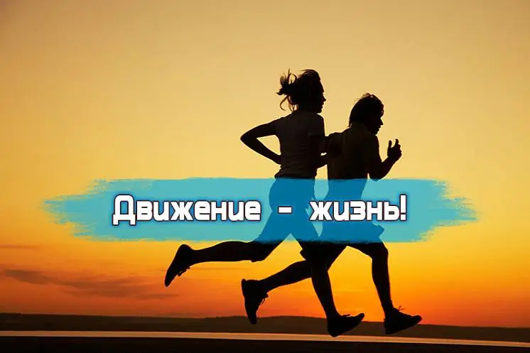 Малышева  Елена 