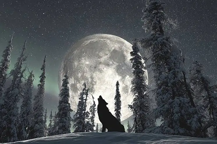 Кармацких Анастасия