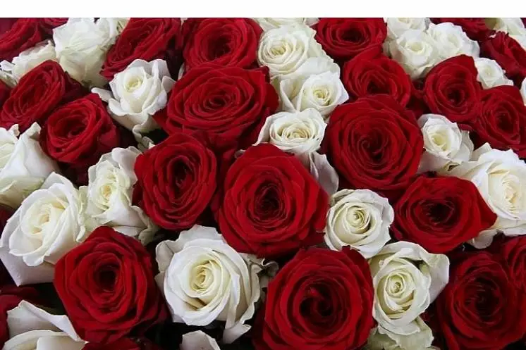 Гаврилова Виктория