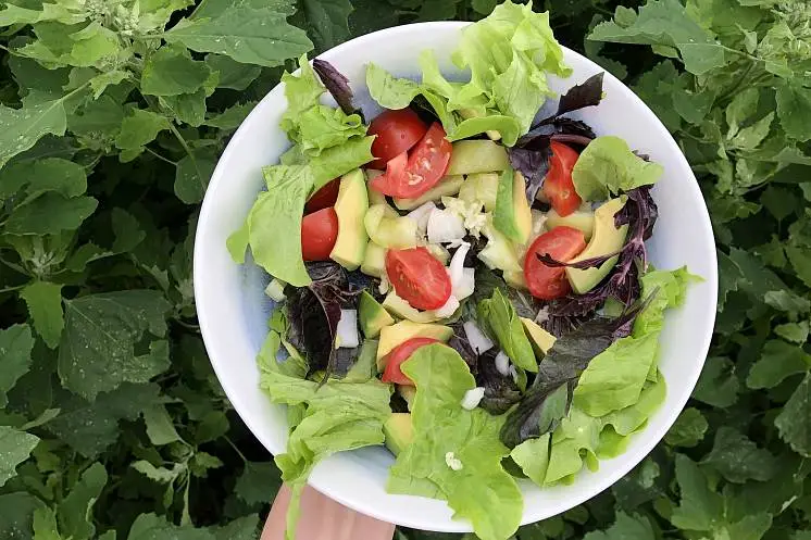 Дарья  Атаманова