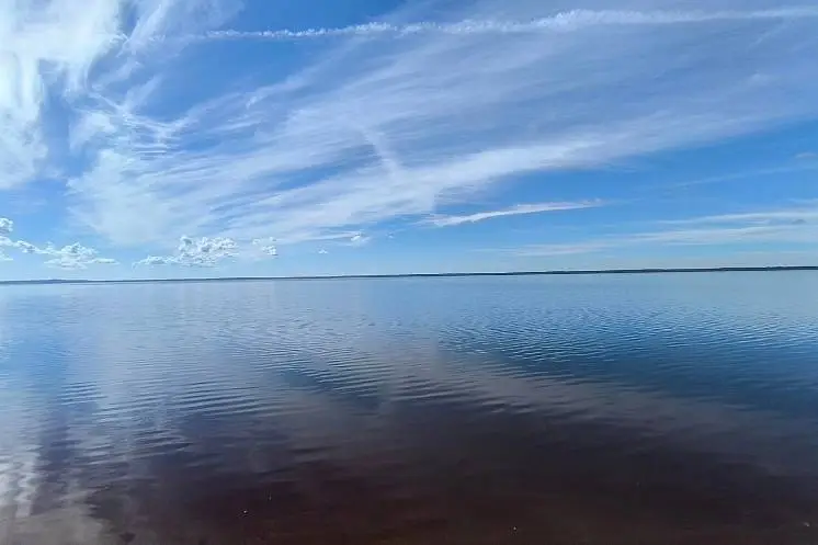 Токкинен Лилия