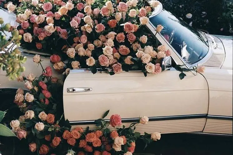 Астрам Элвена