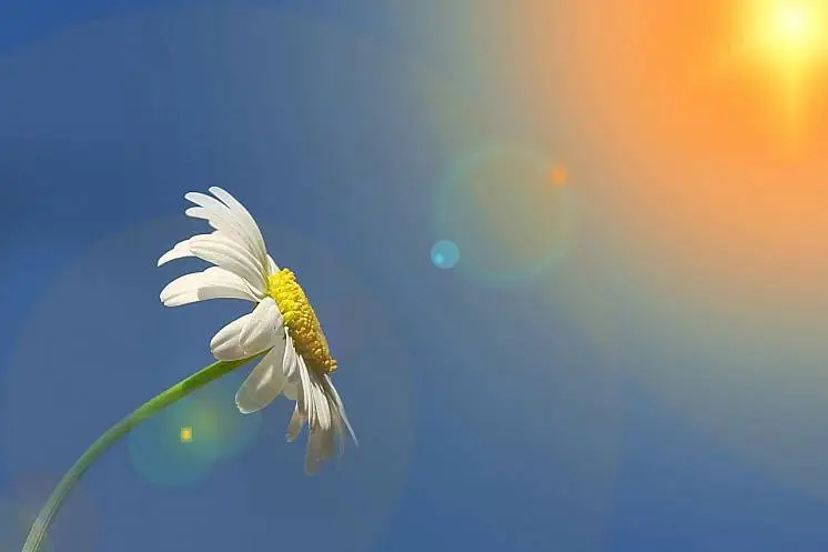 Аксенова Анна