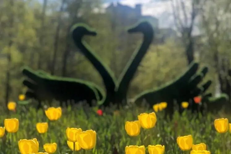 Миклина Анна