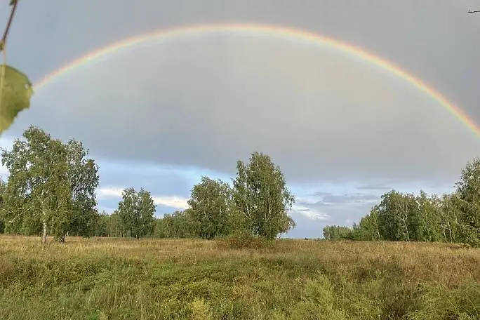 Горбунова  Алёна 