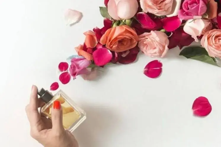 Симбирёва  Галина 