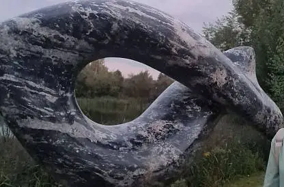 СИЯЮЩИЕ ЛЕДИ. Октябрь.