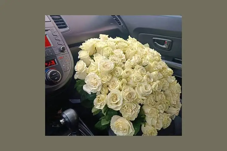 Хабарова Алена