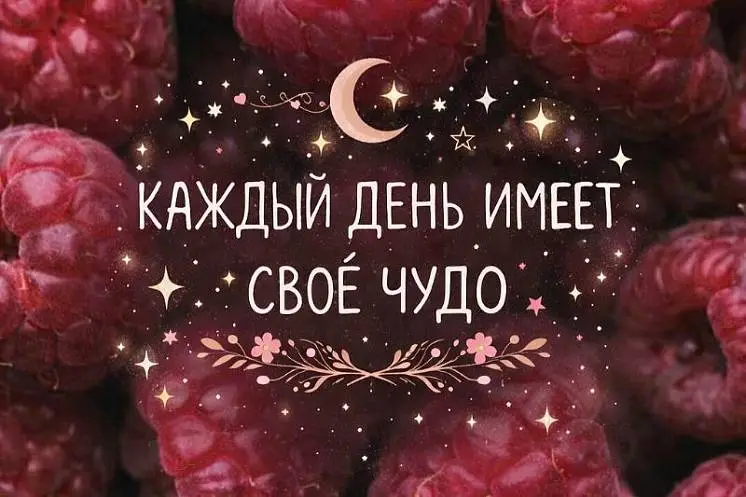 Алямкина Кристина