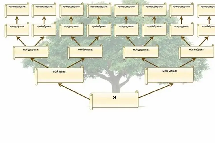 Коренева Ирина