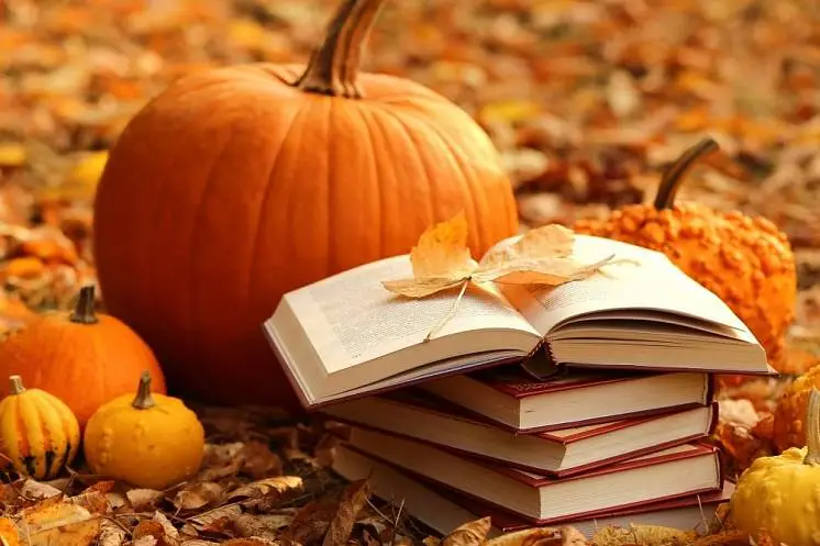 Никишина Екатерина