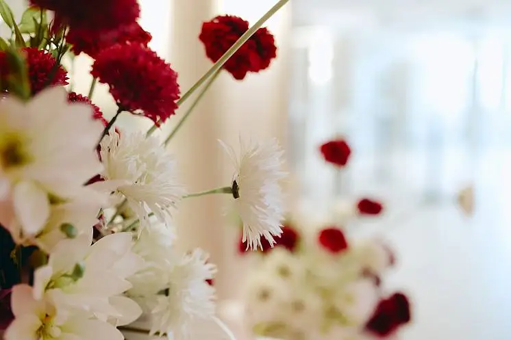 Белкина  Елена 