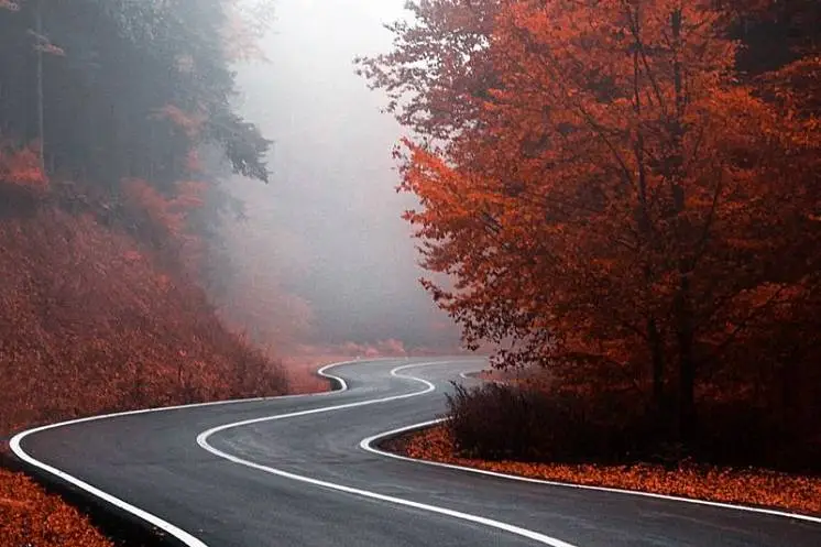 Ишина Ольга