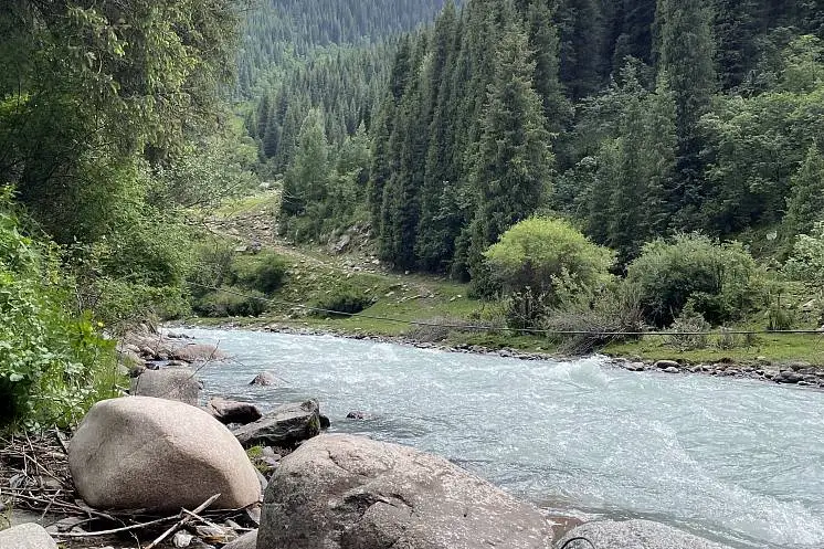 Комарова Екатерина