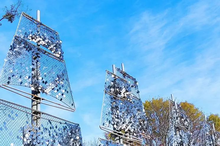 Алексеева Татьяна