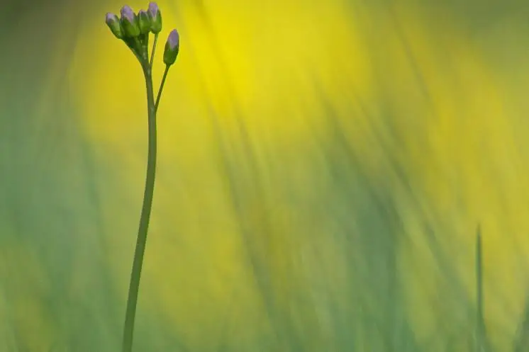 Казанская Полина