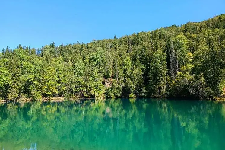 Саморукова Юлия