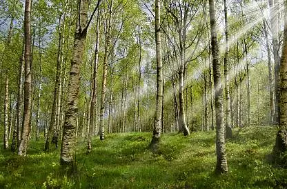 Поход к Синему камню