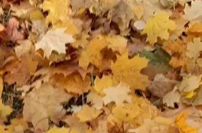 Первая встреча группой. Знакомство.