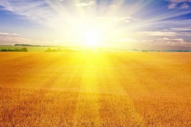 Сафина Ирина