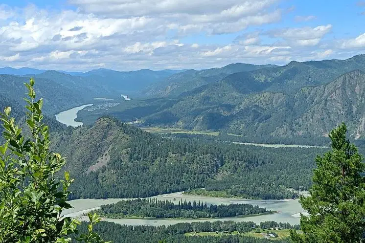 Сорокина Наталья