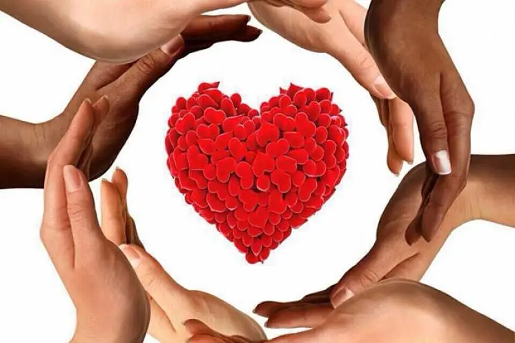 Панина Анжелика