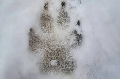 Море эмоций