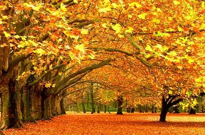 Мастер Времени. Вторая встреча